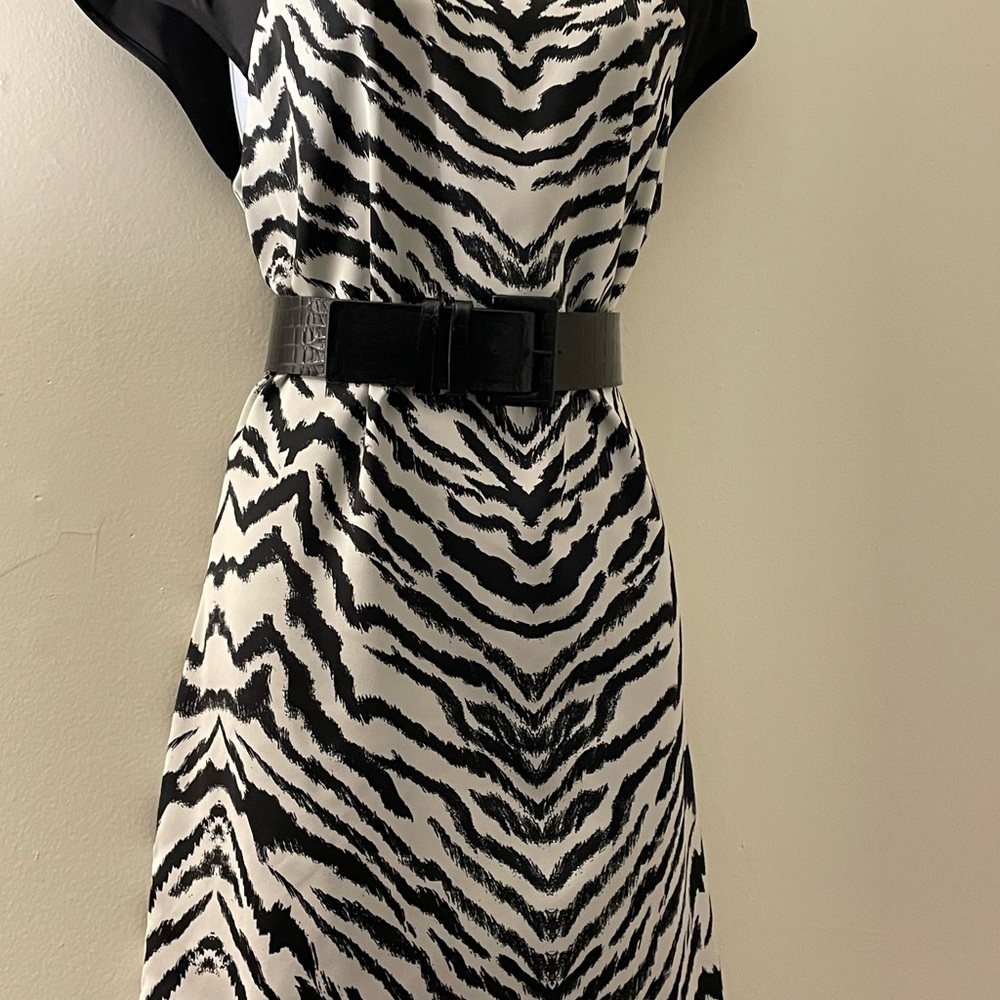 Express: Zebra Print Dress - image 3